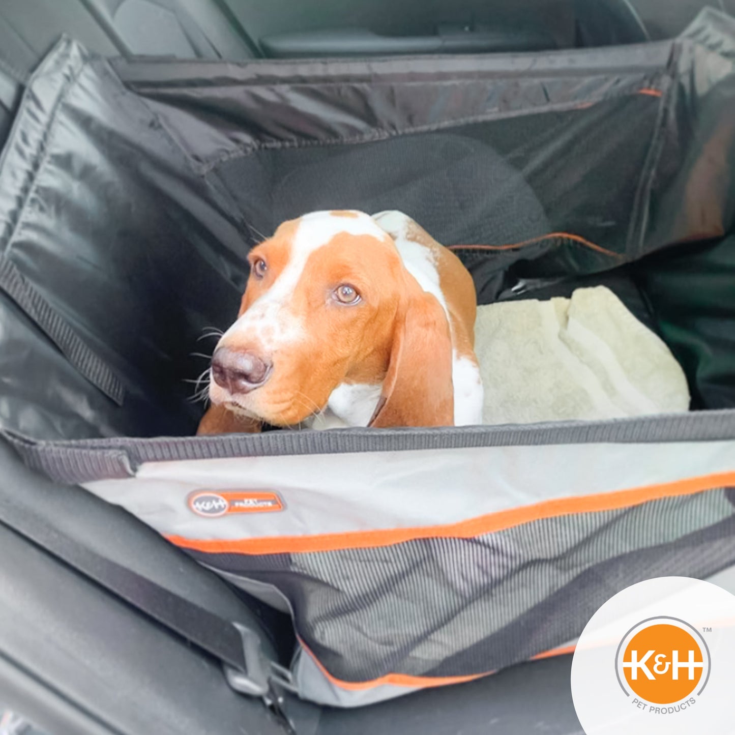 Artsuppl Buckle n' Go Pet Seat