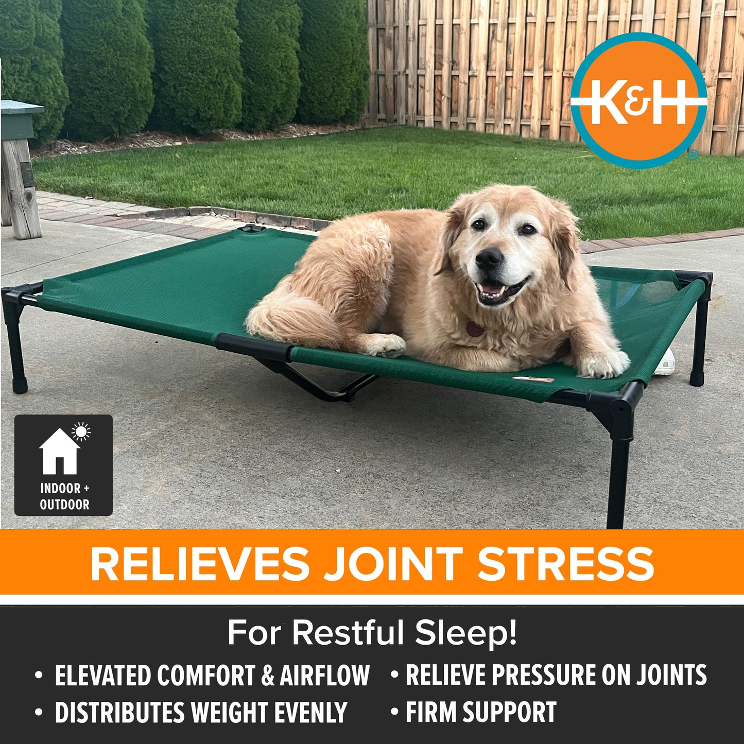Artsuppl All Season All Weather Dog Cot