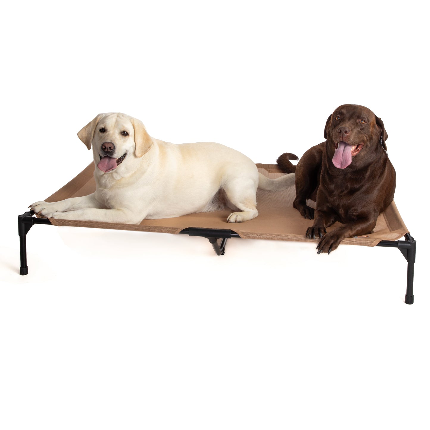 Artsuppl All Season All Weather Dog Cot