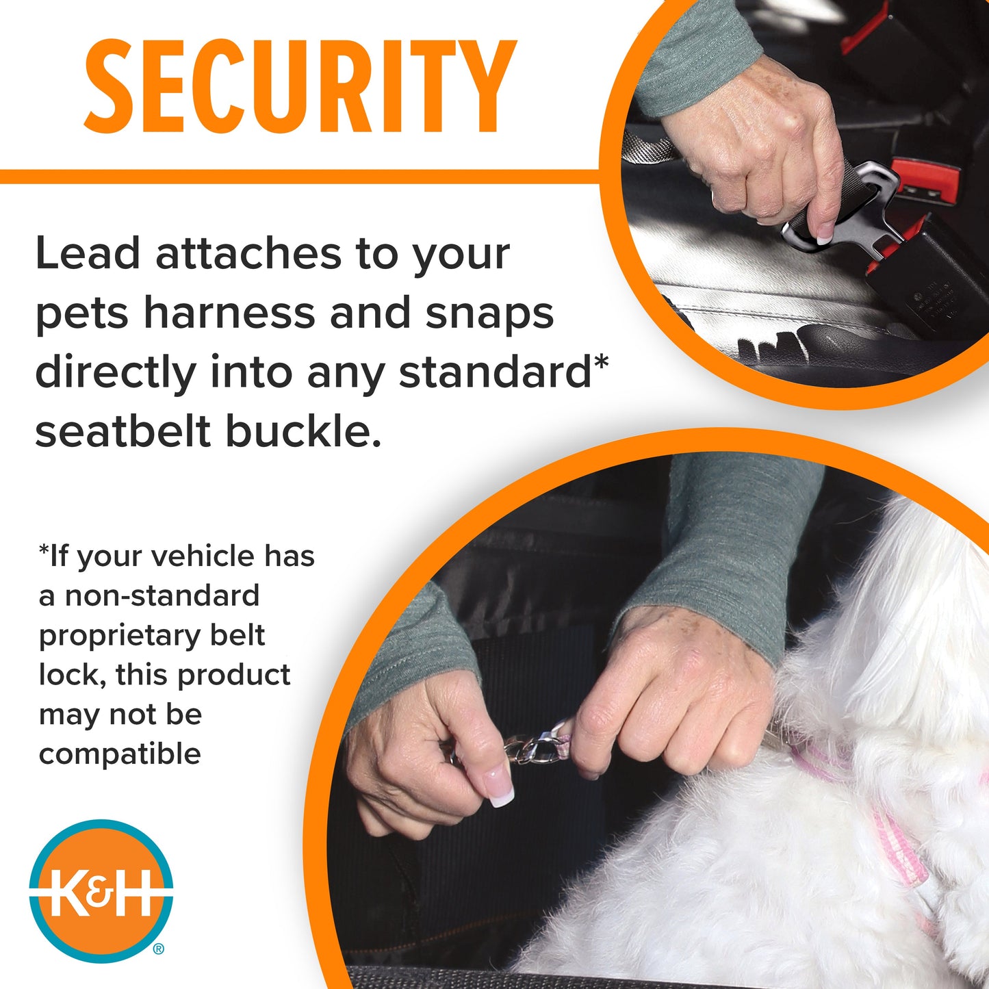 Artsuppl Buckle n' Go Pet Seat