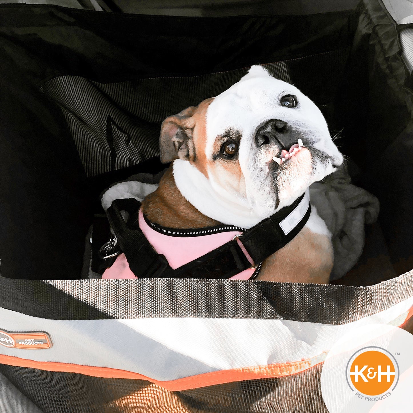 Artsuppl Buckle n' Go Pet Seat
