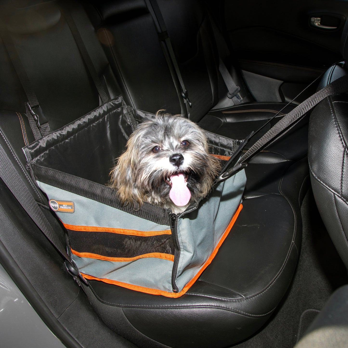 Artsuppl Buckle n' Go Pet Seat