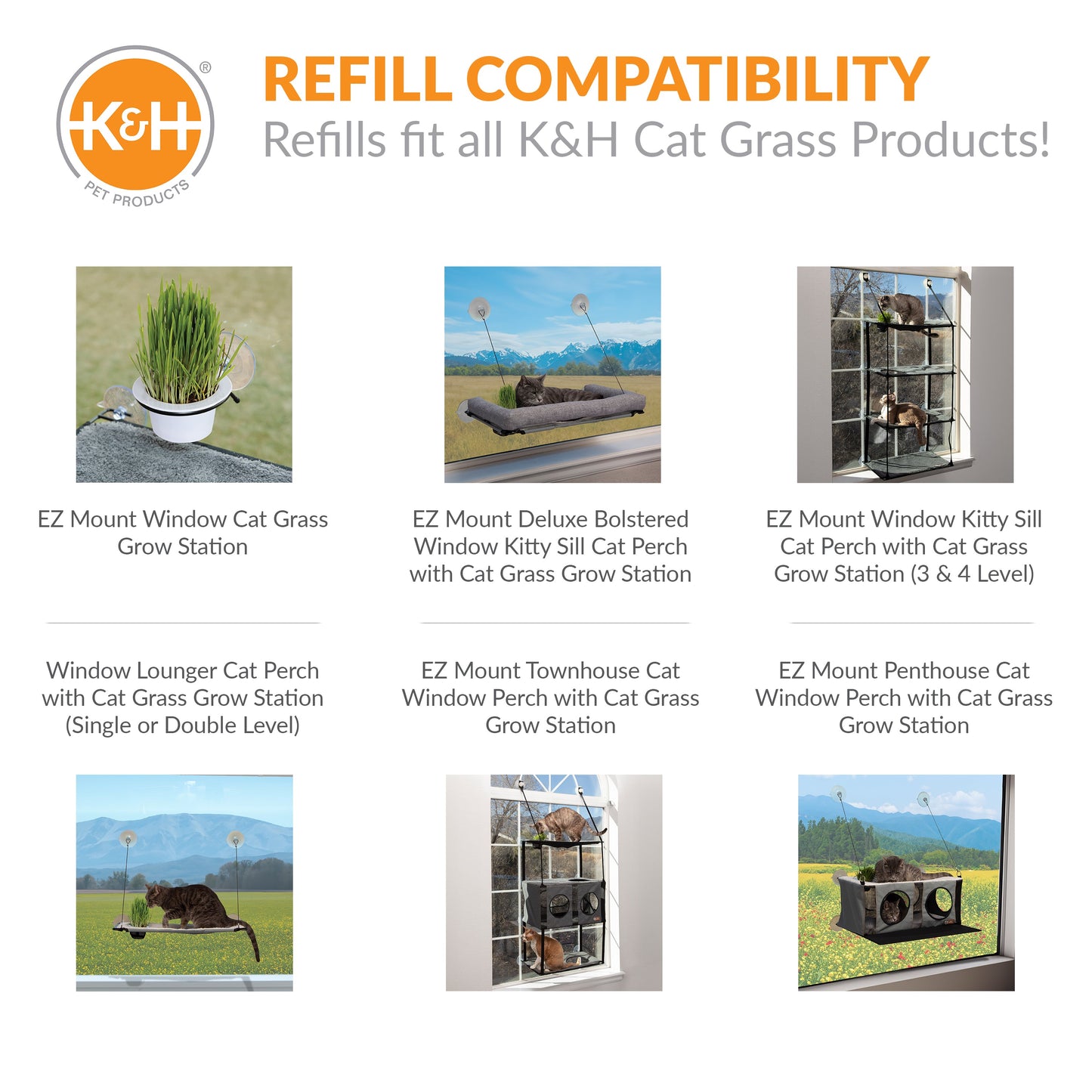 Artsuppl Cat Grass Grow Station Growing Cup Refills
