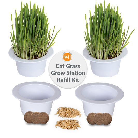 Artsuppl Cat Grass Grow Station Growing Cup Refills