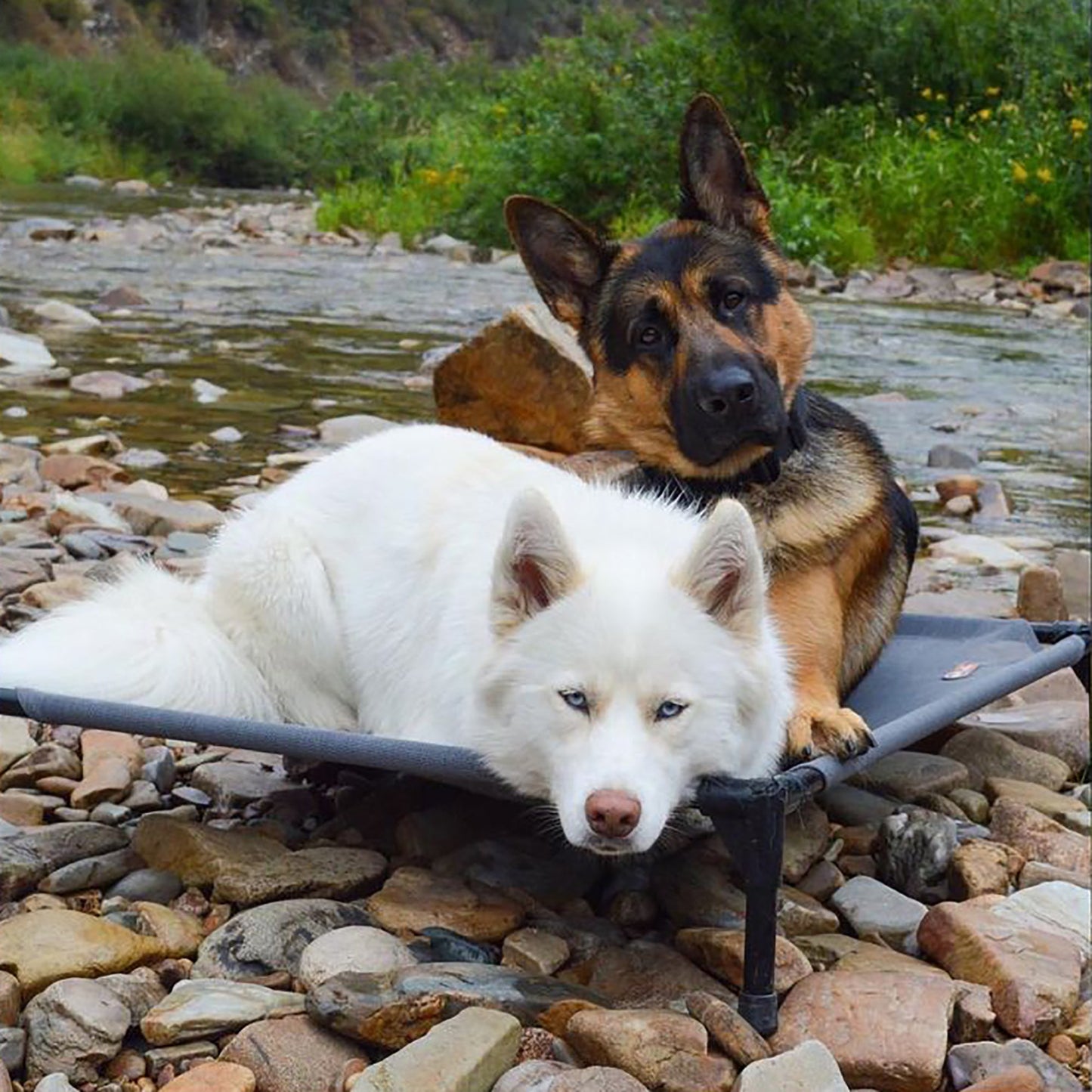 Artsuppl All Season All Weather Dog Cot